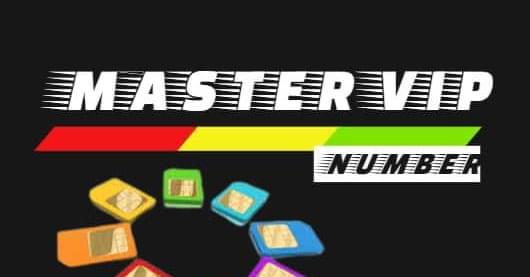 Master VIP