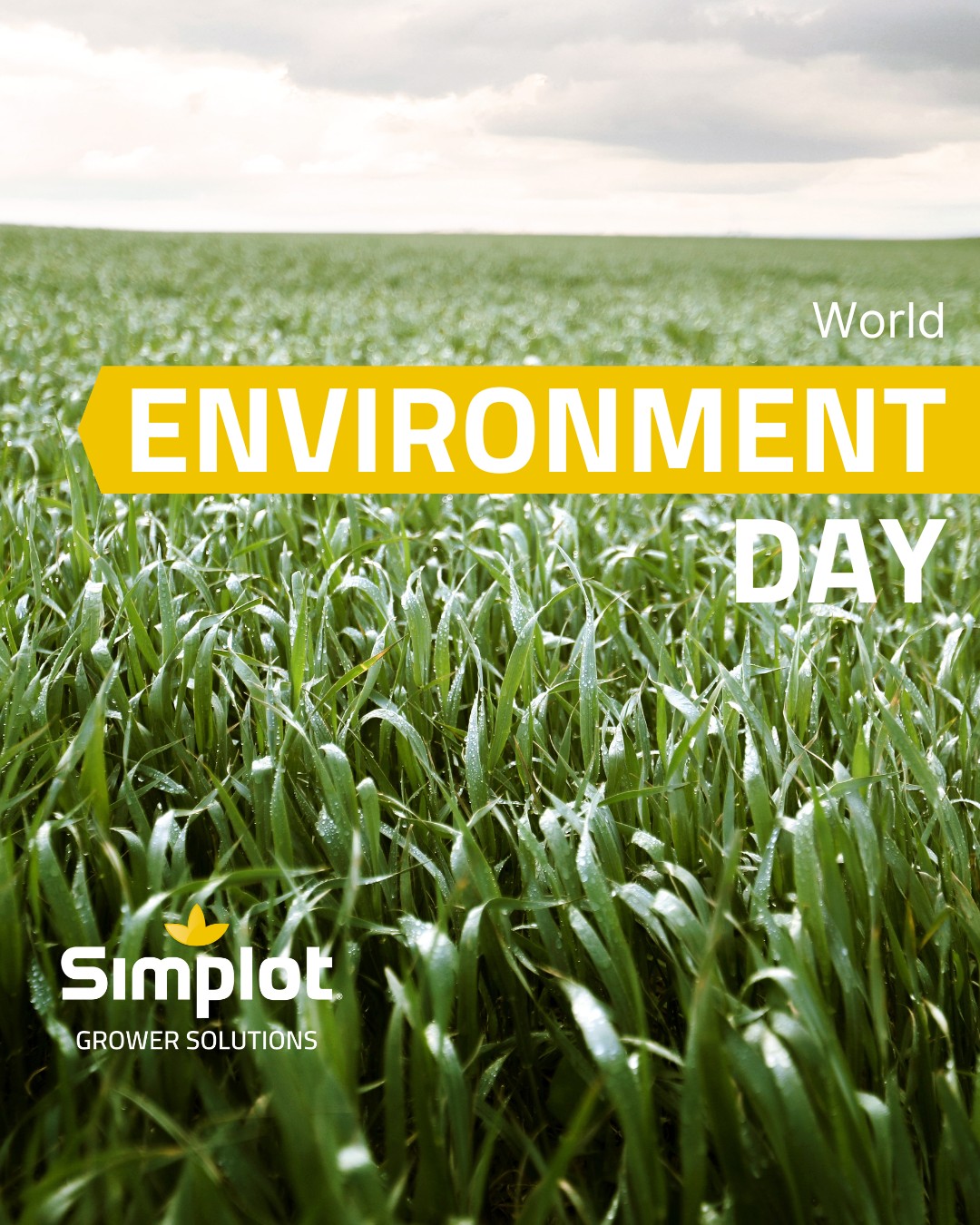 World Environment Day! 🌱🌎🍃... - Simplot Grower Solutions