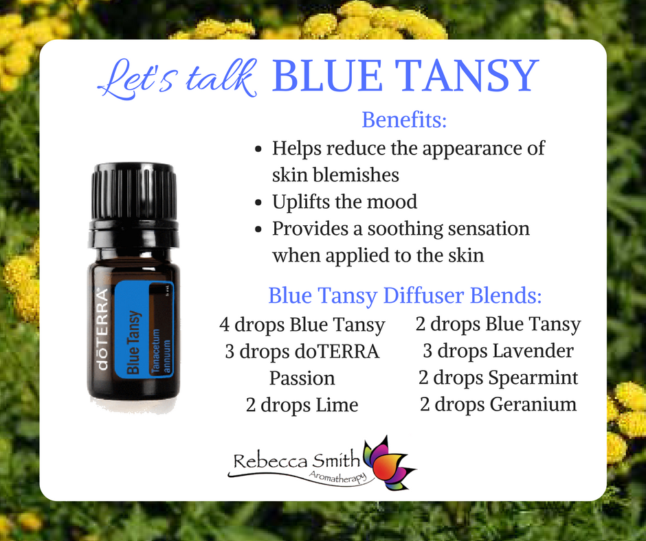 Combine 1-2 drops of Blue Tansy with Fractionated Coconut Oil and