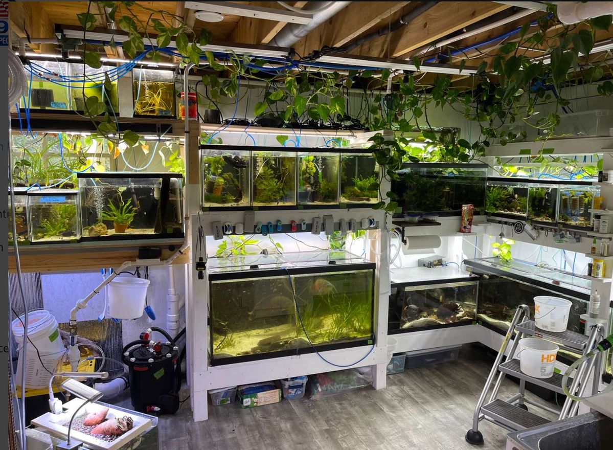 diy fish tank grow box Watertight Glass with LED Light, Acrylic Lid, Terrarium Kit- 25x25x30cm / 9.8x9.8x11.8'' Grow Your Own Food Right