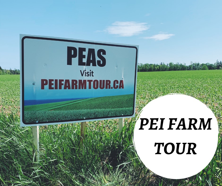 The PEI Farm Tour is back this... - Islanders For Farmers