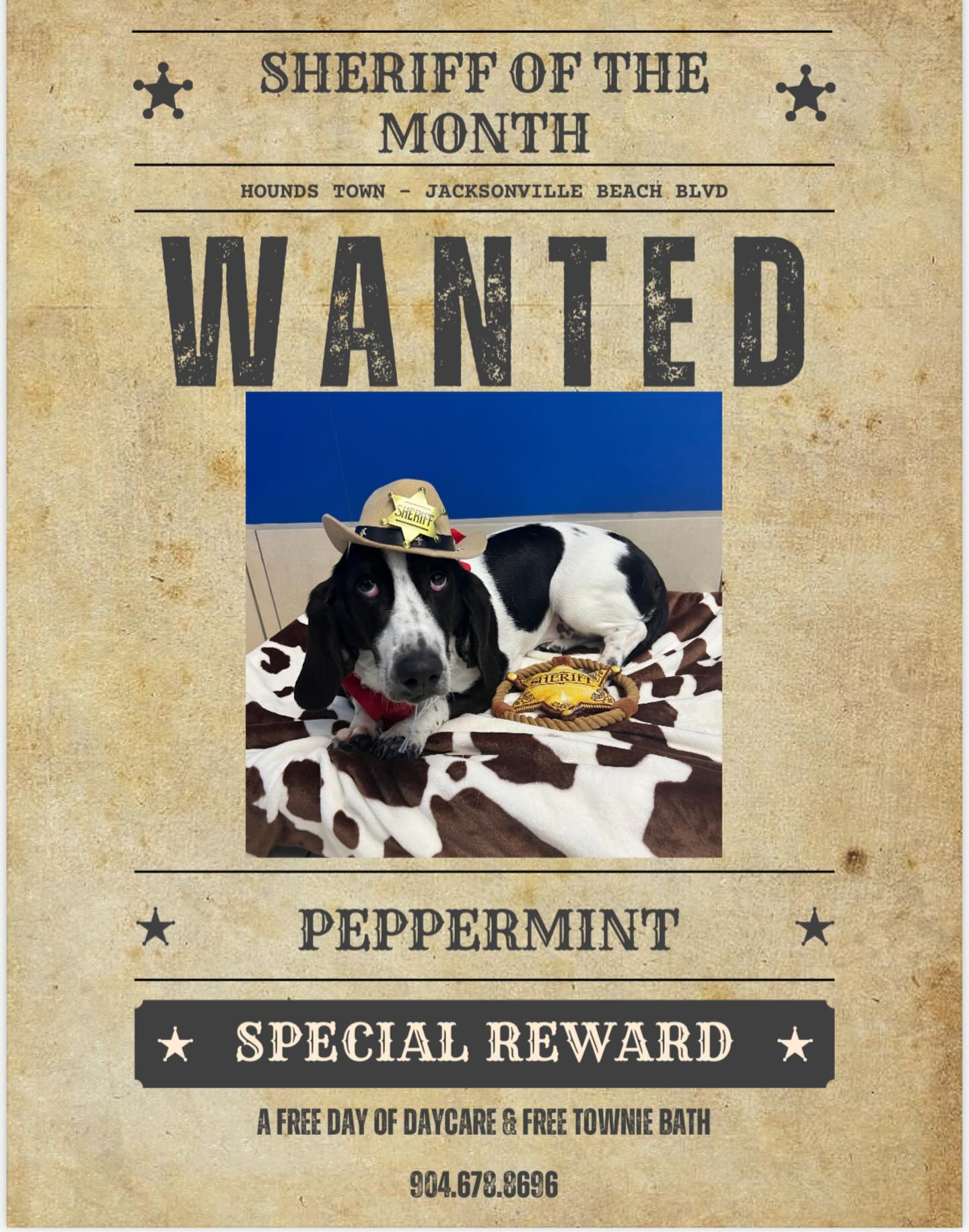 Meet our newly... - Hounds Town Jacksonville - Beach Blvd | Facebook