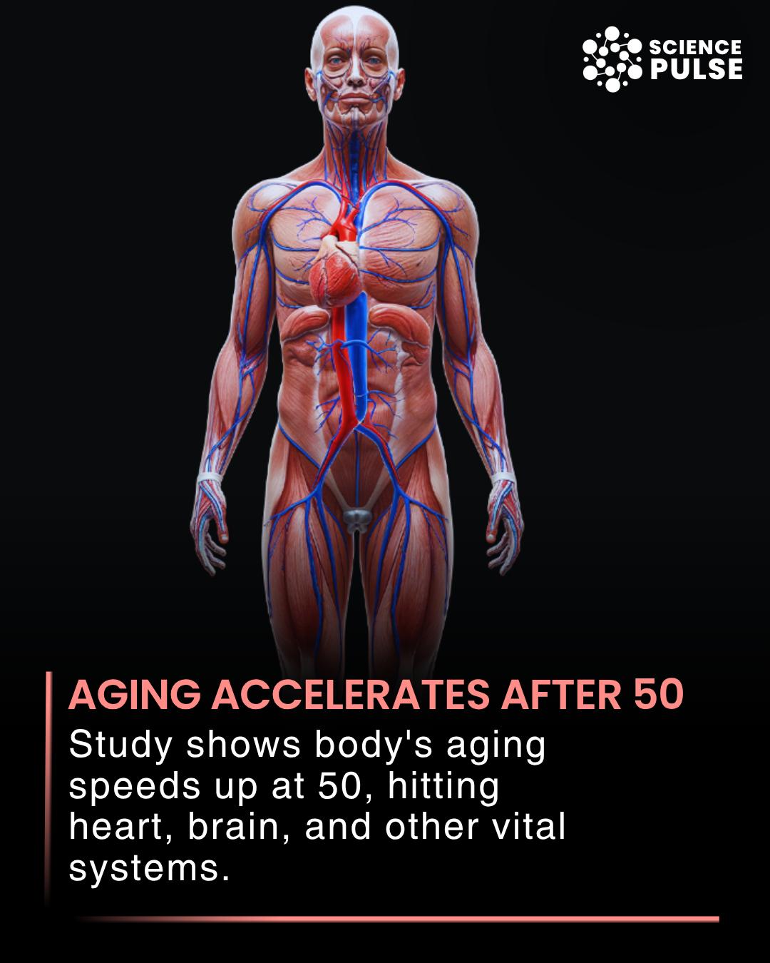 Science - A powerful new study is changing how we understand aging ...
