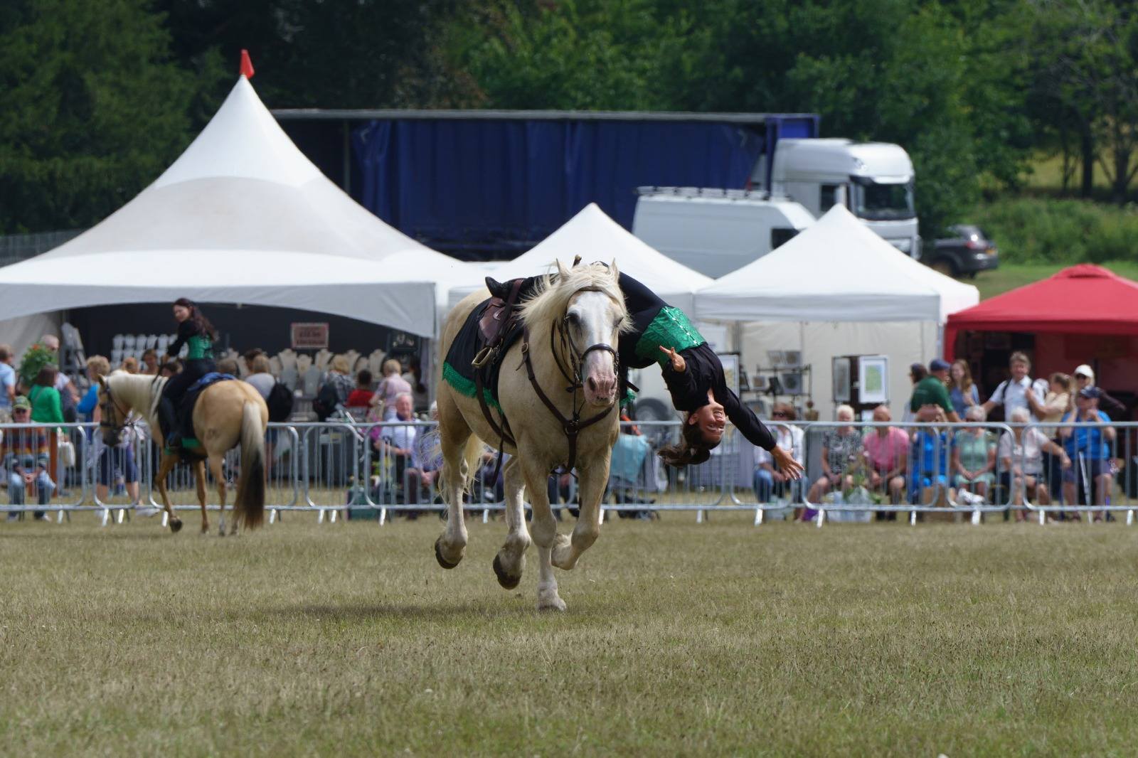 OG Performance Horses added a new... - OG Performance Horses