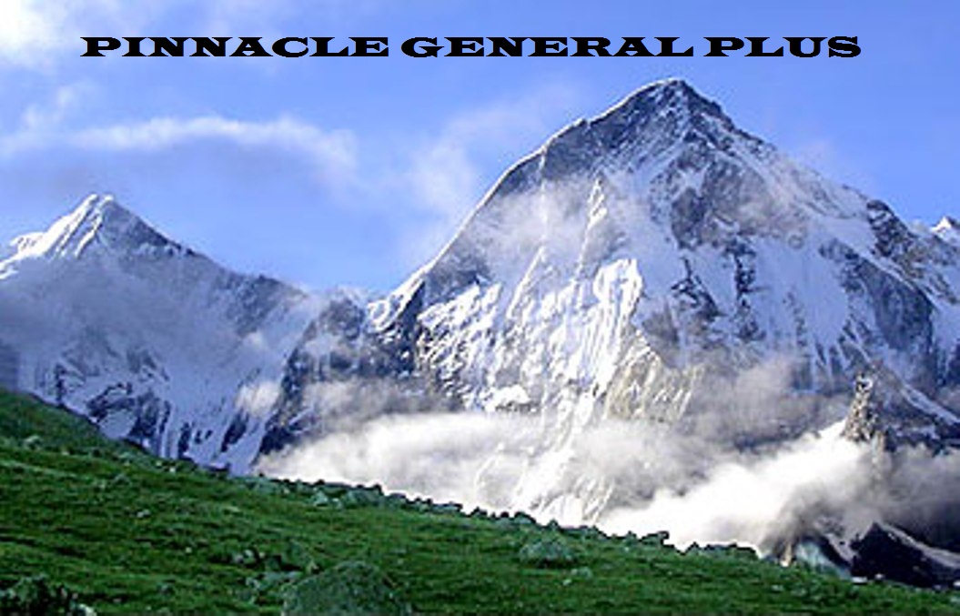 Pinnacle General Plus.