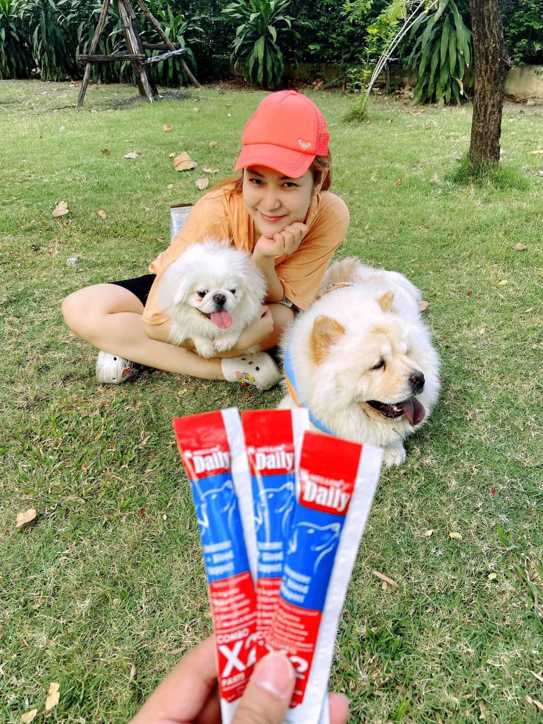 S-Mellow - ว้าว 🤩 s-mellow daily #สุนัขหมา L-Arginine 🇫🇷... | Facebook