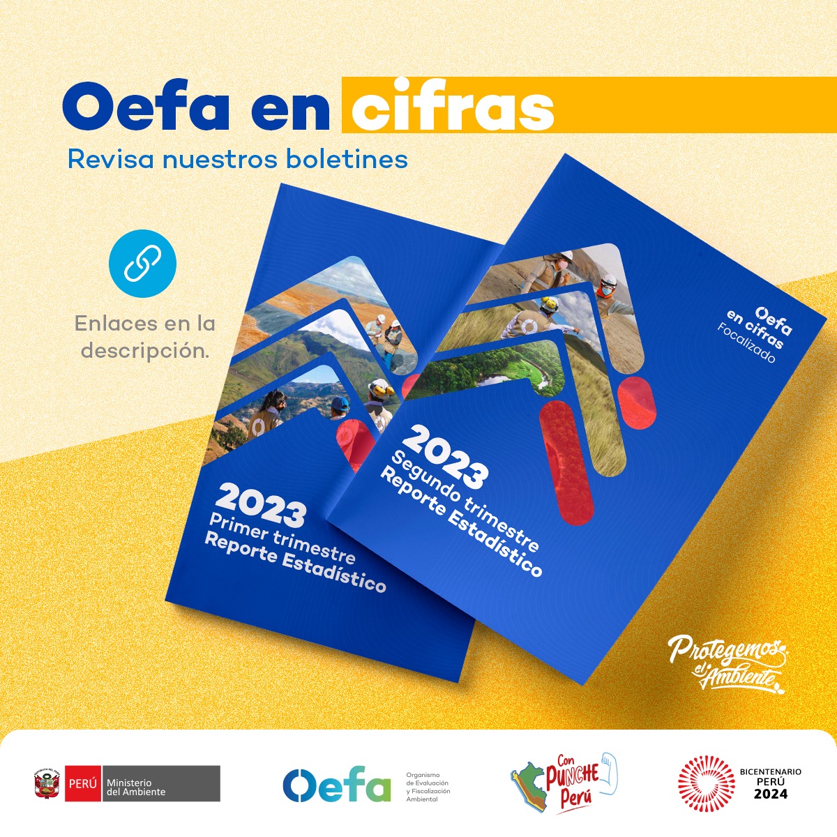 OEFA - 📊| #OEFAenCifrasFocalizado Conoce el nuevo formato de nuestro ...