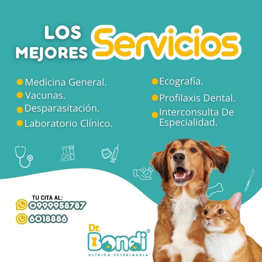 BondiServicios Los... Clínica Veterinaria Dr. Bondi