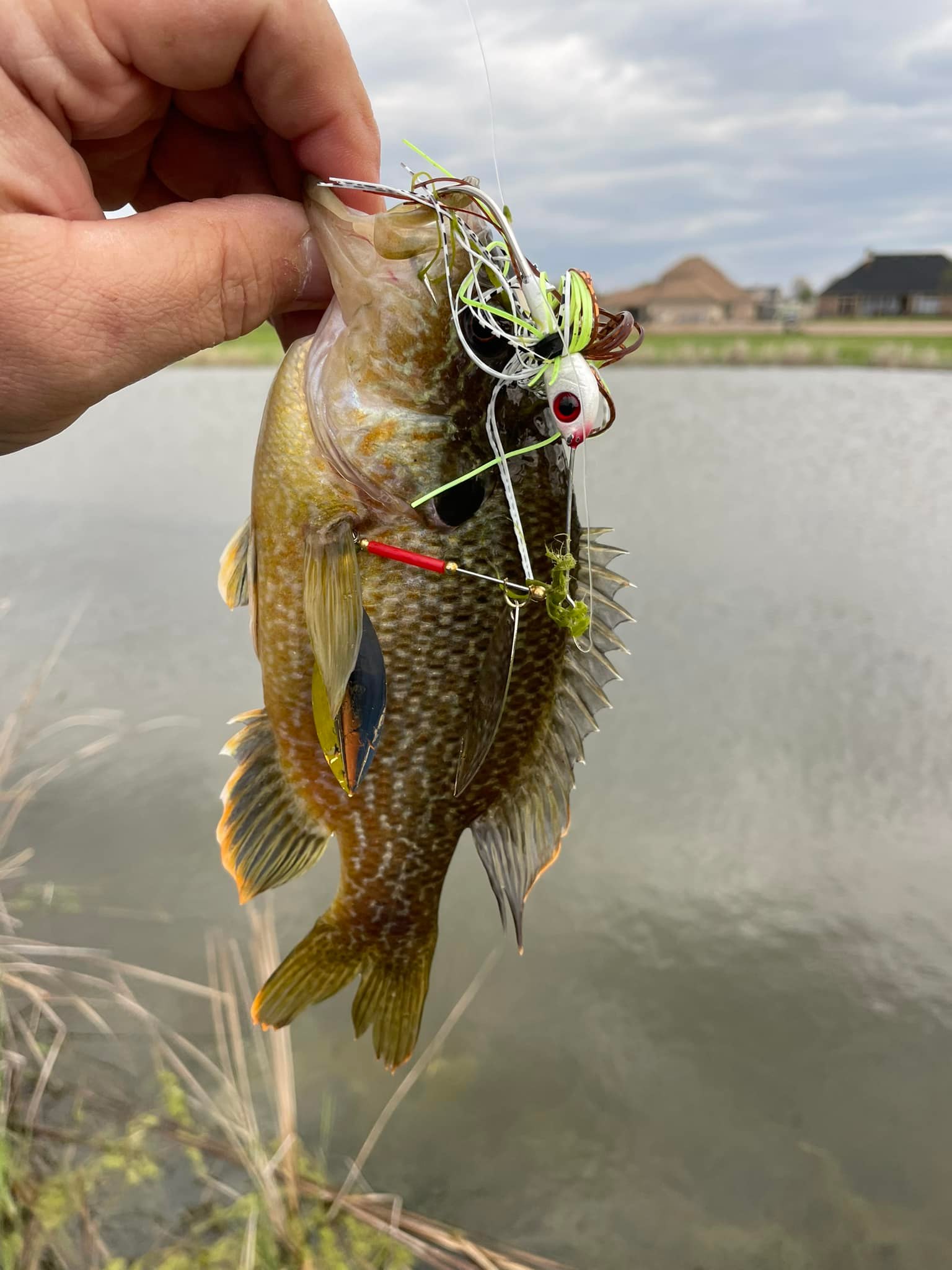 afternoon bass lures Lazy Skimblades Catching bass with Smithwick lures