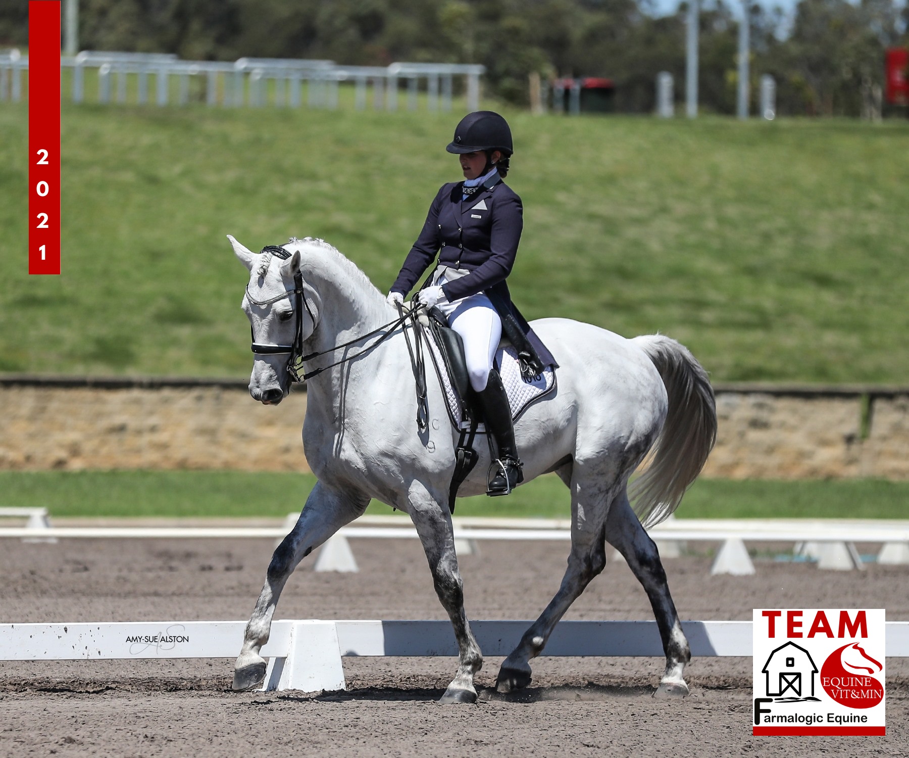 Australian Equine Institute : Australian Equine Institute – ARAU