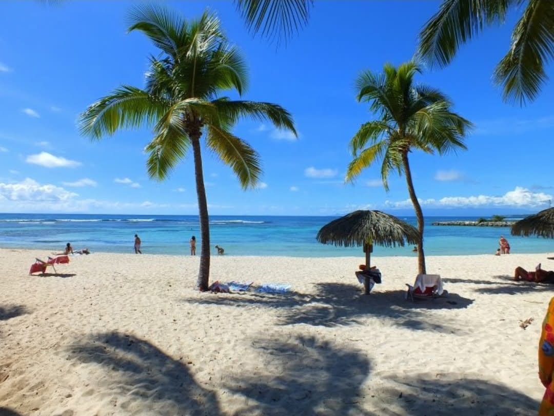 Locations Anse des Rochers | Saint-François Guadeloupe
