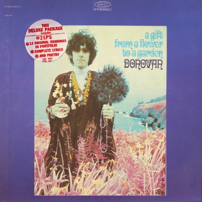 Donovan's 'A Gift from a Flower to a Garden' inspired our class