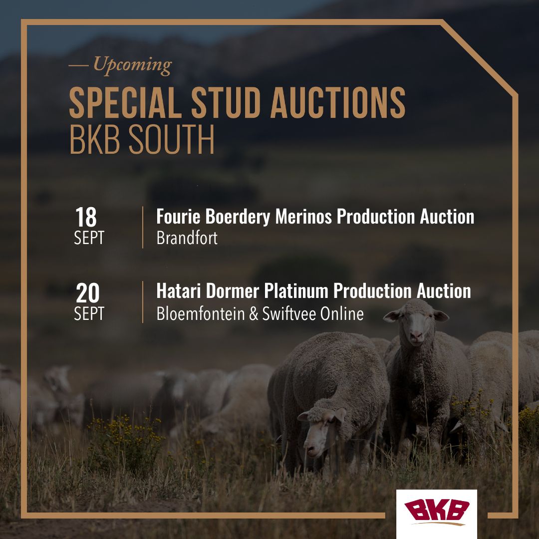 BKB - 🏁 Next Week’s Auctions Auction season is moving into its final ...