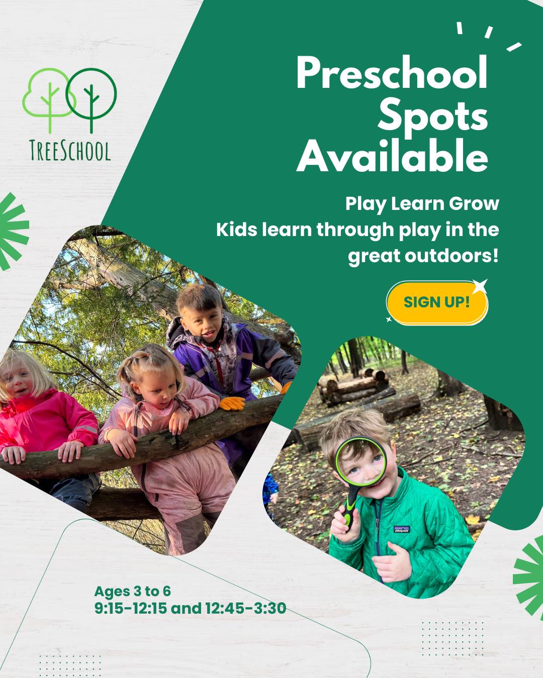 TreeSchool | Grand Rapids MI