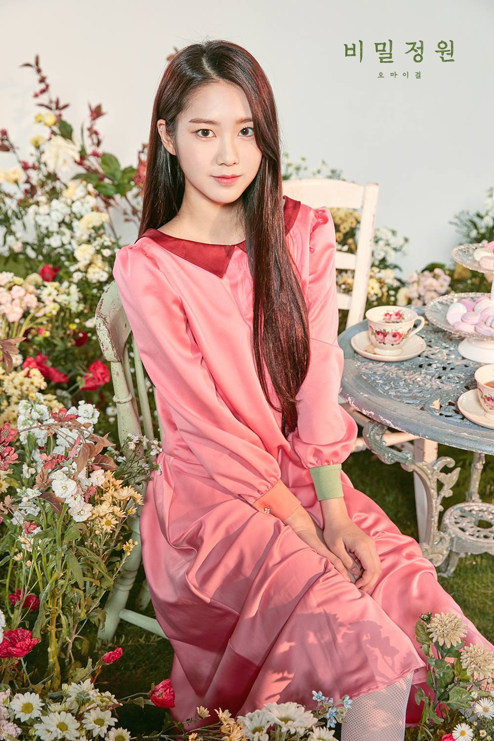OH MY GIRL 오마이걸 直筆 サイン 非売品 アルバム cd 비밀정원 【公式