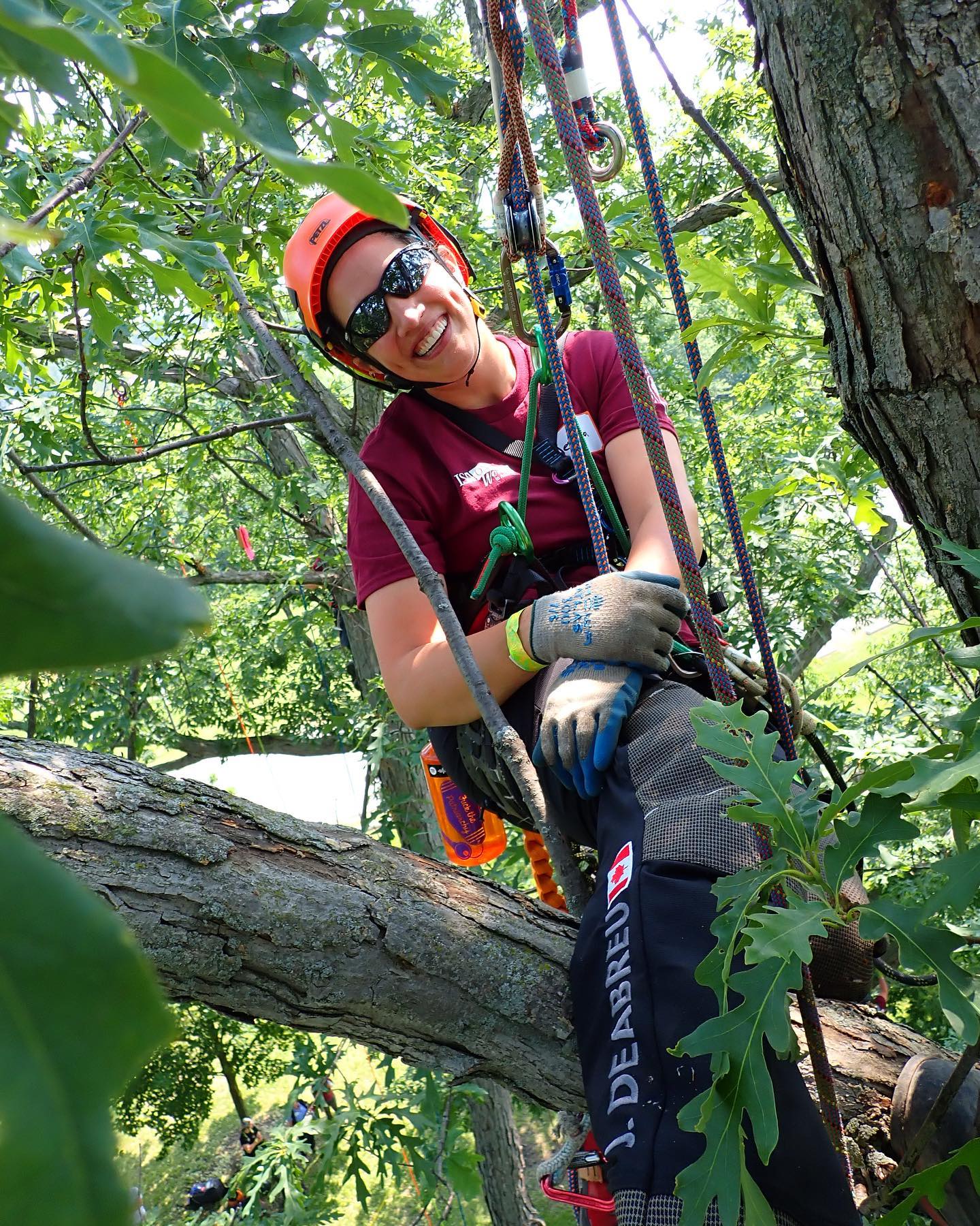 The @maplehilltree crew had a... - Maple Hill Tree Services