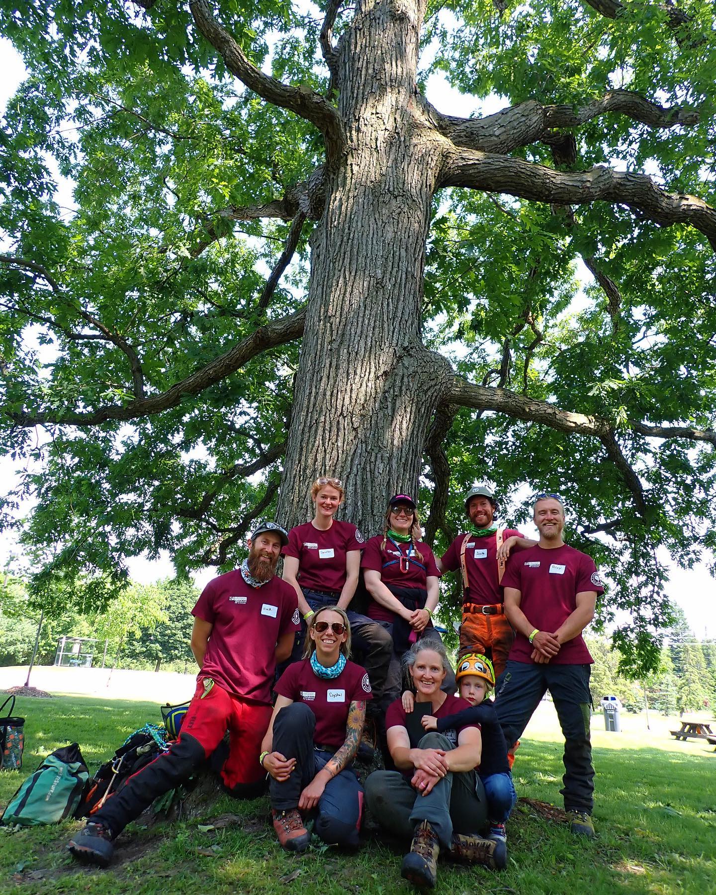 The @maplehilltree crew had a... - Maple Hill Tree Services