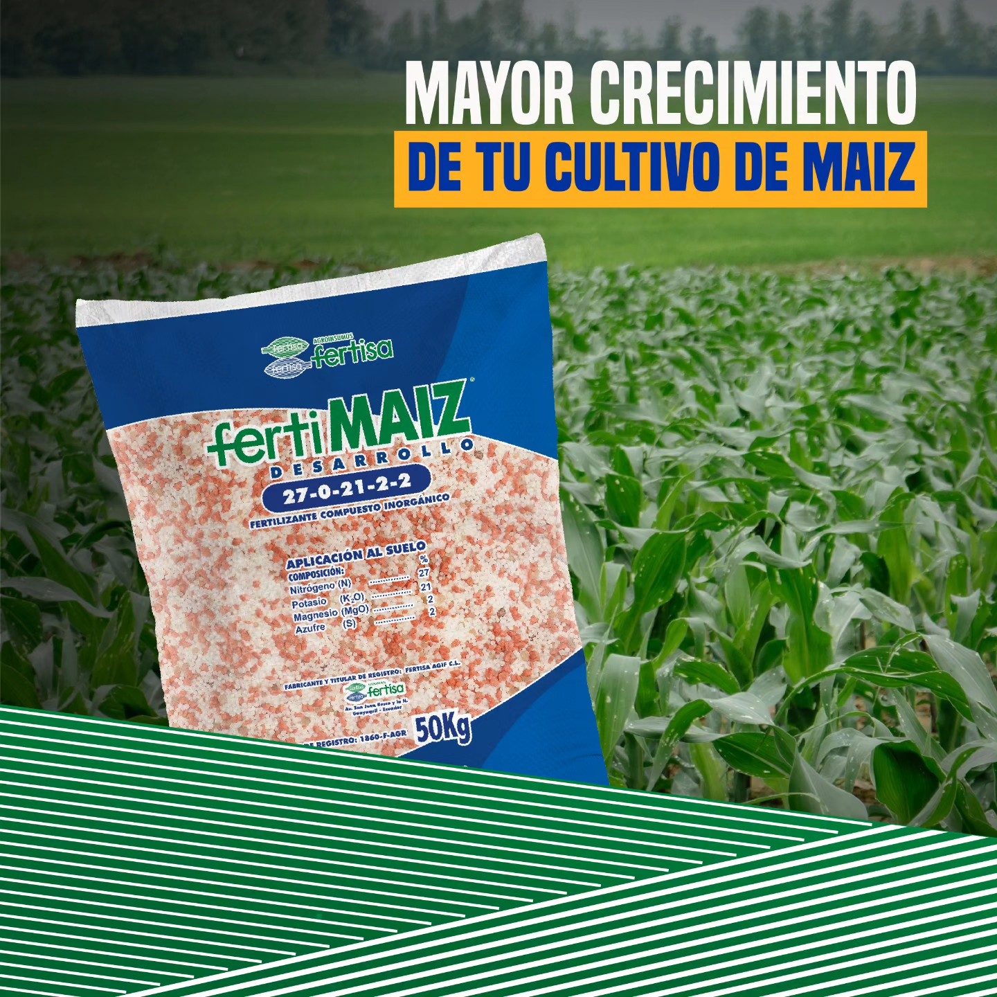 Fertisa EC - Obten mayor crecimiento en tu cultivo de maíz...