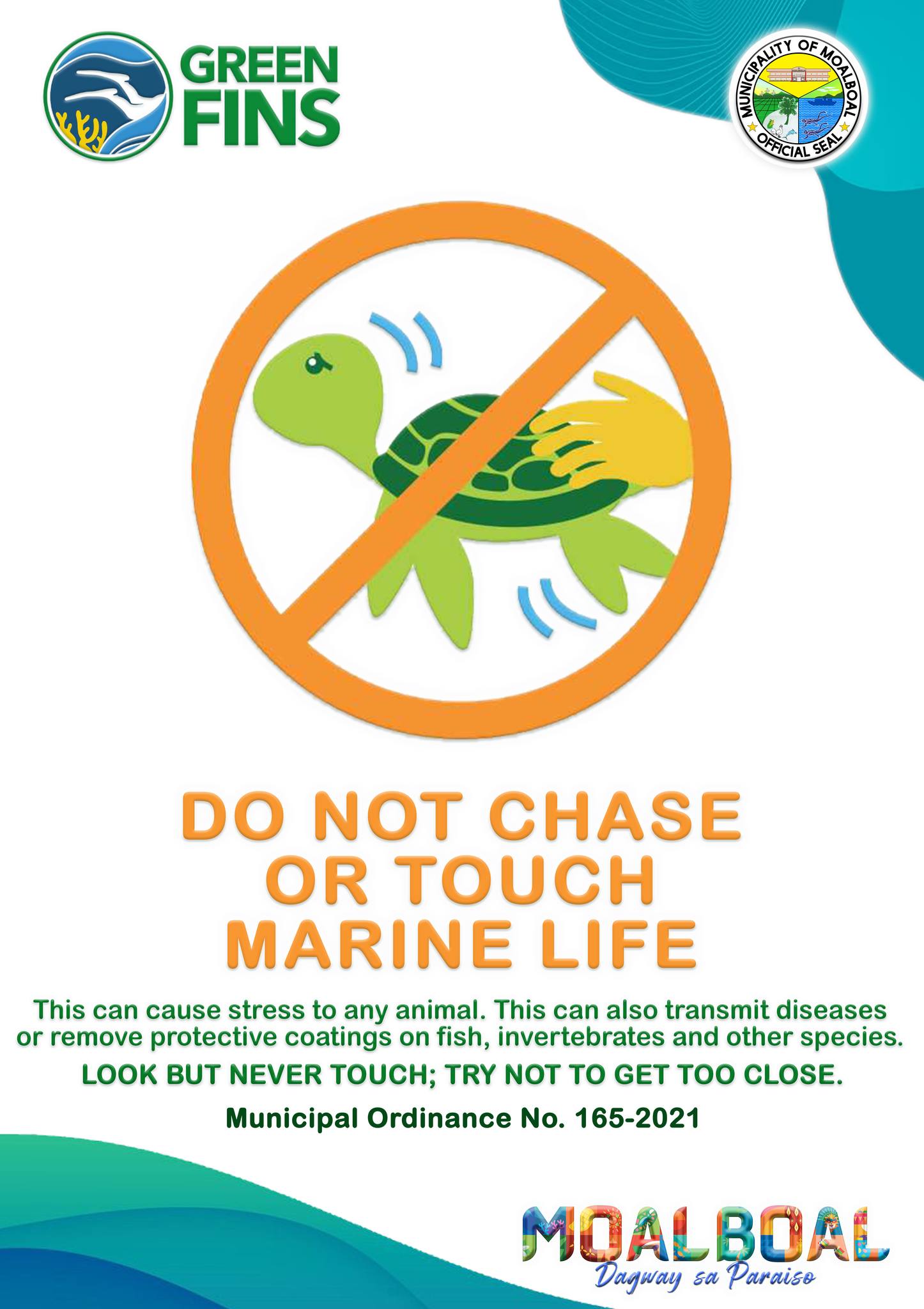 Moalboal - 🌊 Friendly Reminder: Our oceans are home to countless ...