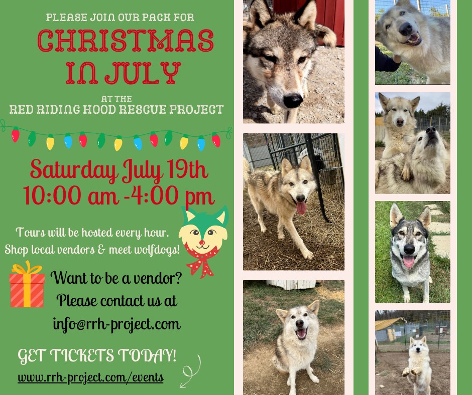 Red Riding Hood Rescue Project - a wolfdog rescue | Middletown OH