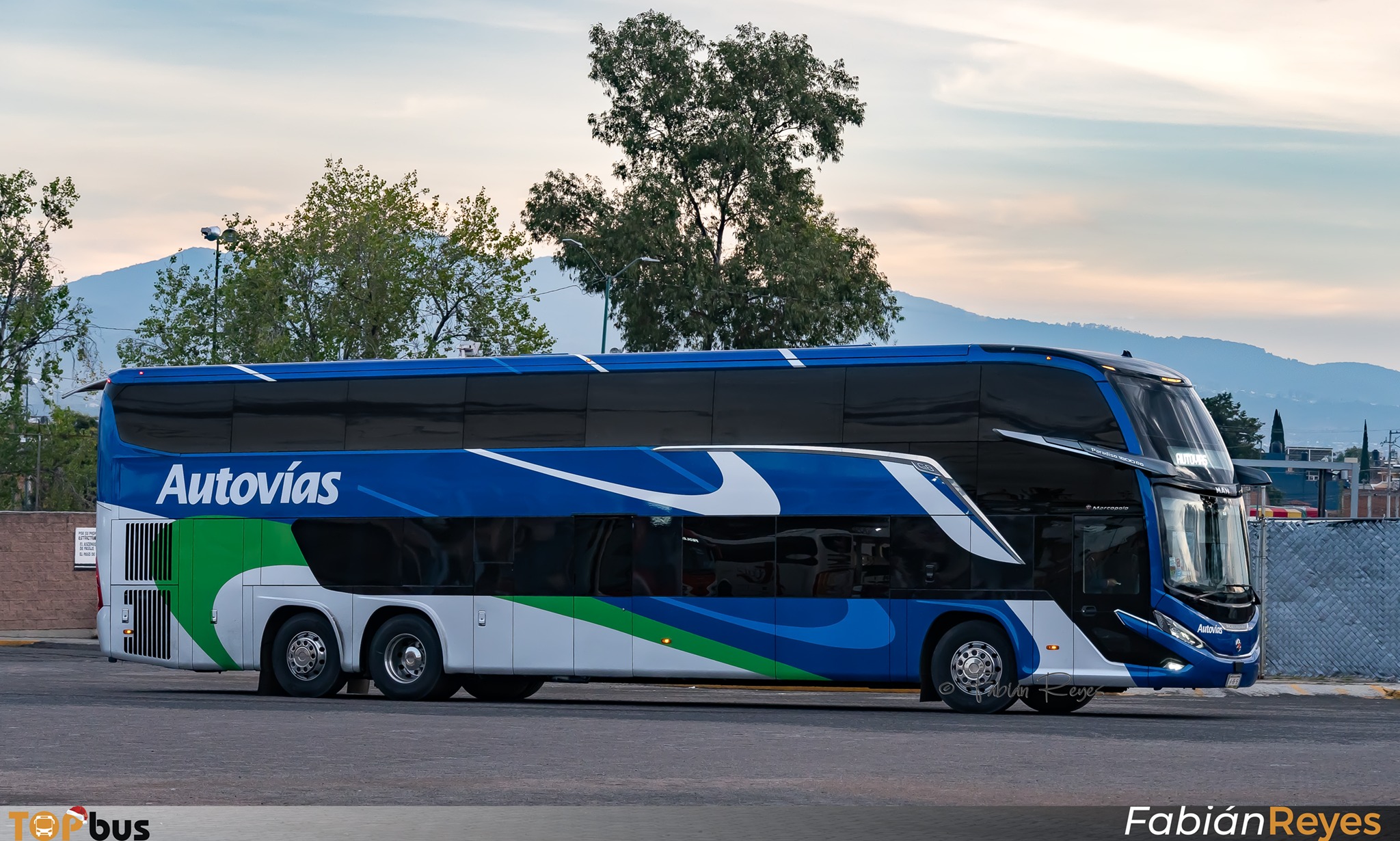 Top Bus - Un corte de pintura que ha caído excelente en todos los ...