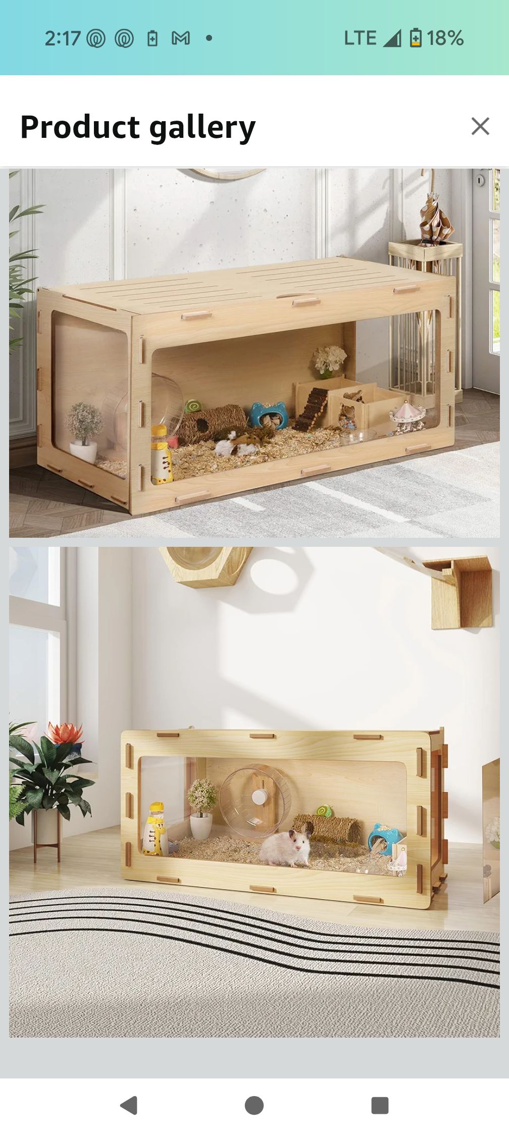 Visual Reference: Hamster Land I Need Help My New Hamster Has Been