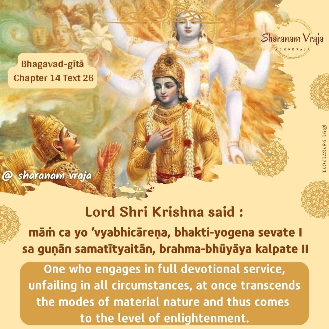 Sharanam Vraja | Mathura