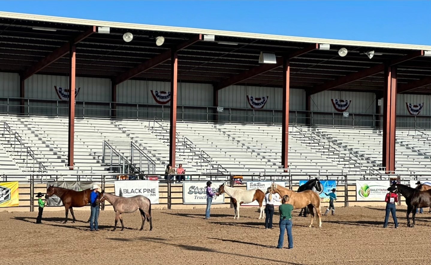 Box - Celebrate A 100 Year Love A Fair at our Judge Horse Open Show ...