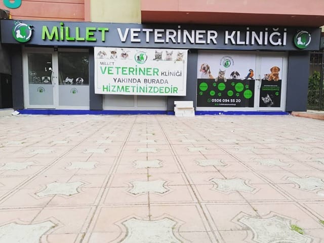 milletveterinerklinigi | Bursa