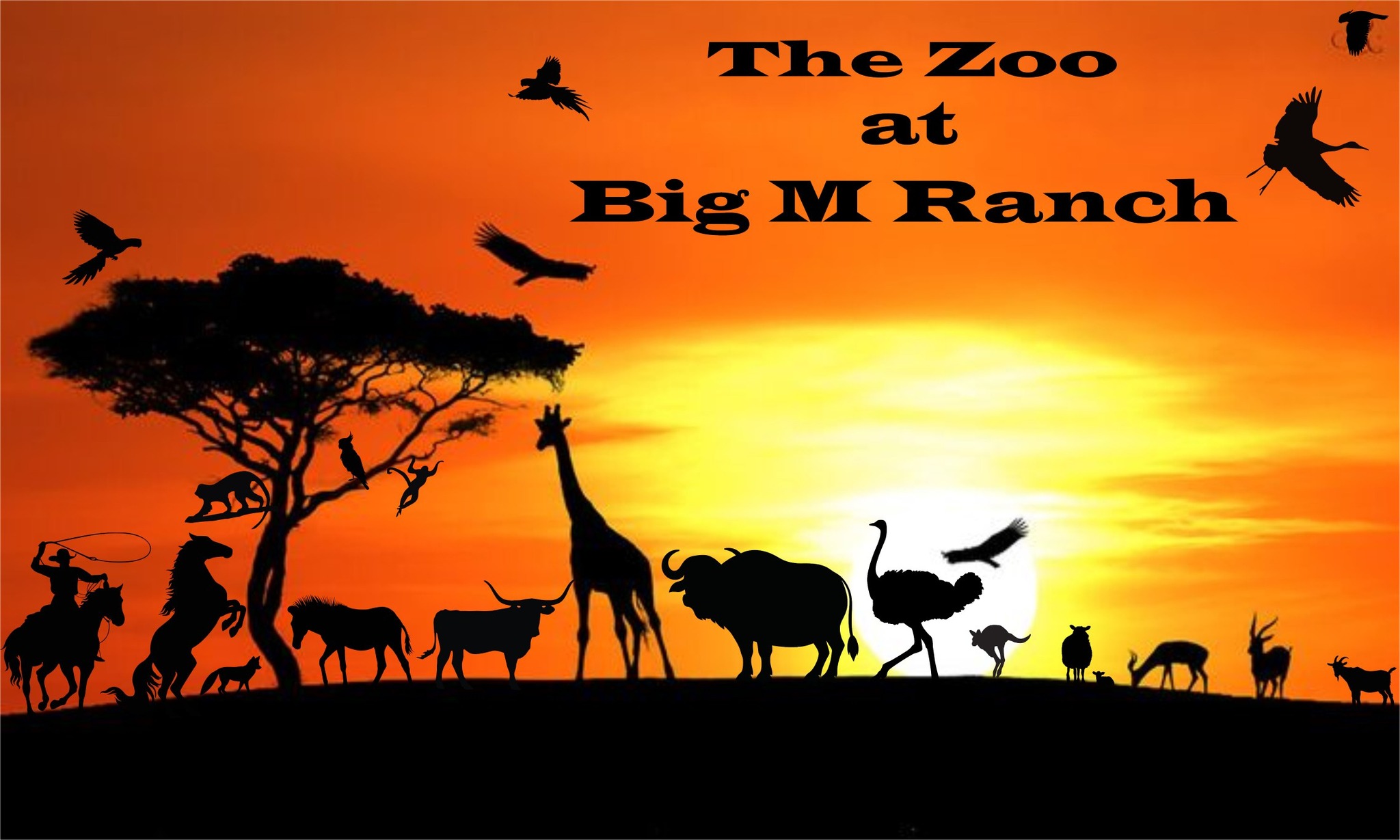 Big M Ranch | Elizabethtown NC