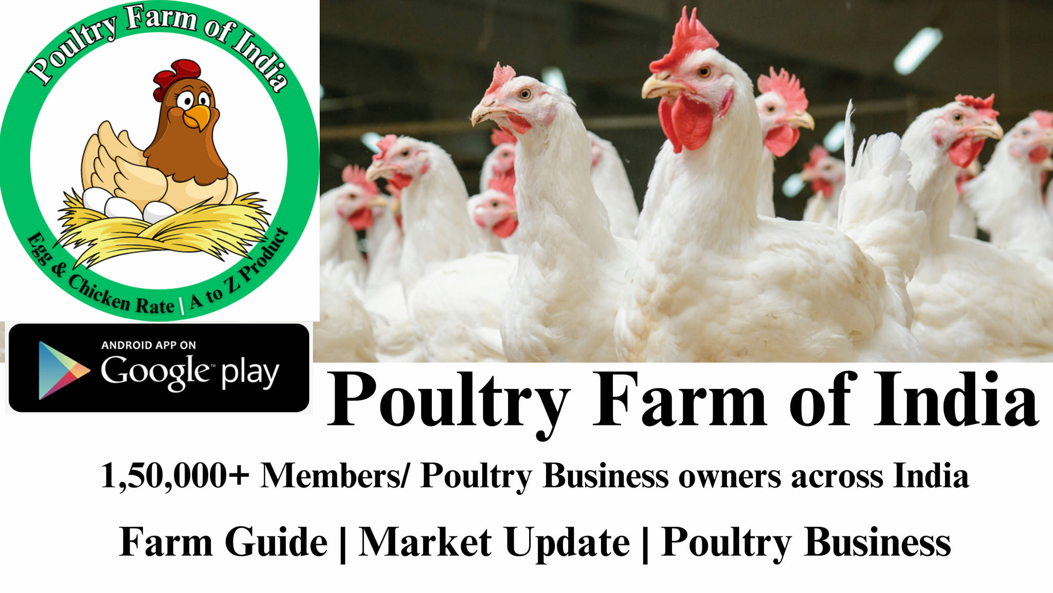 PoultryCare - poultryerp Software for poultry farm management For more ...