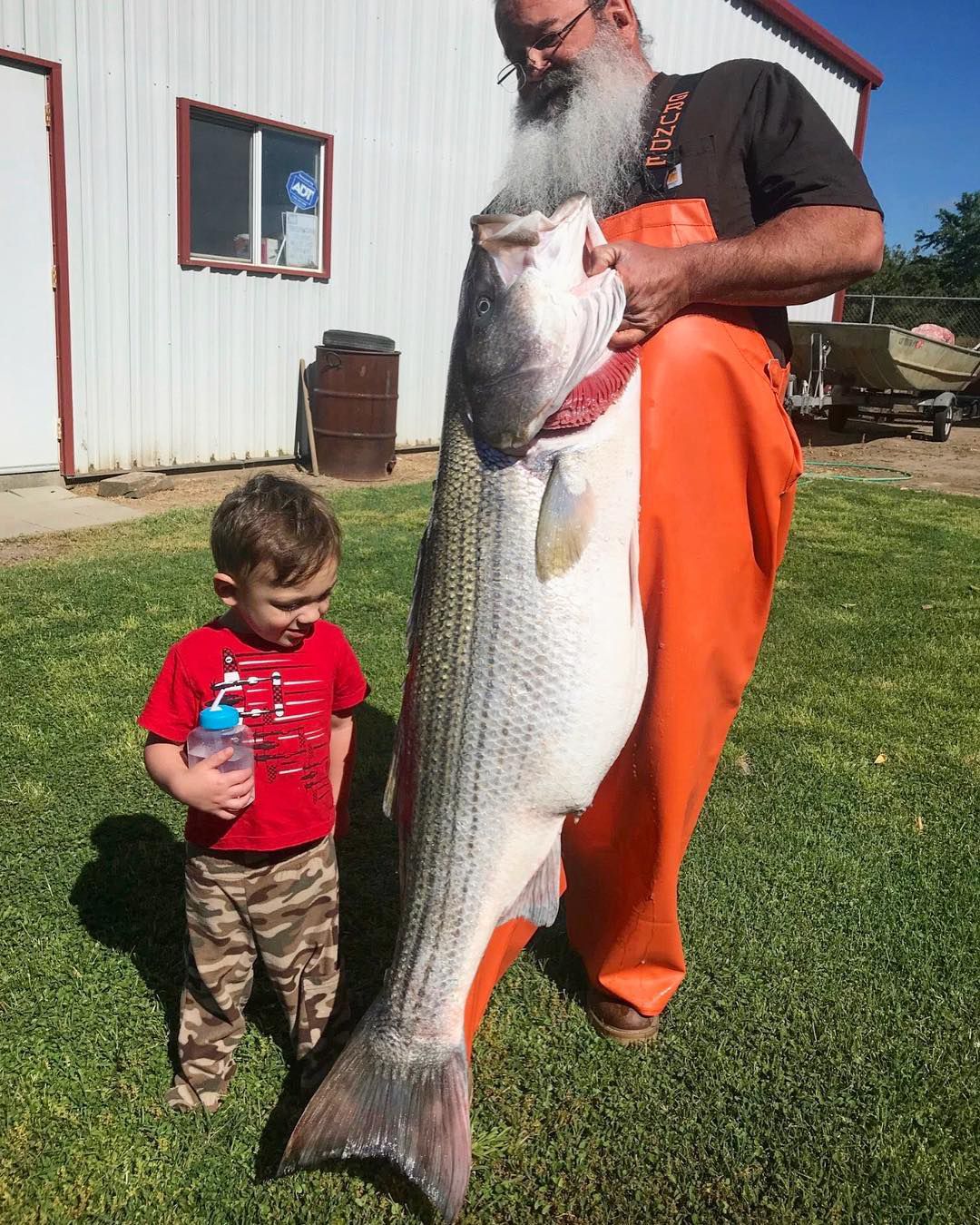 Geraldo - Giant Delta Striped Bass 🔥 . . . . 📷@sturgeon_sensei # ...