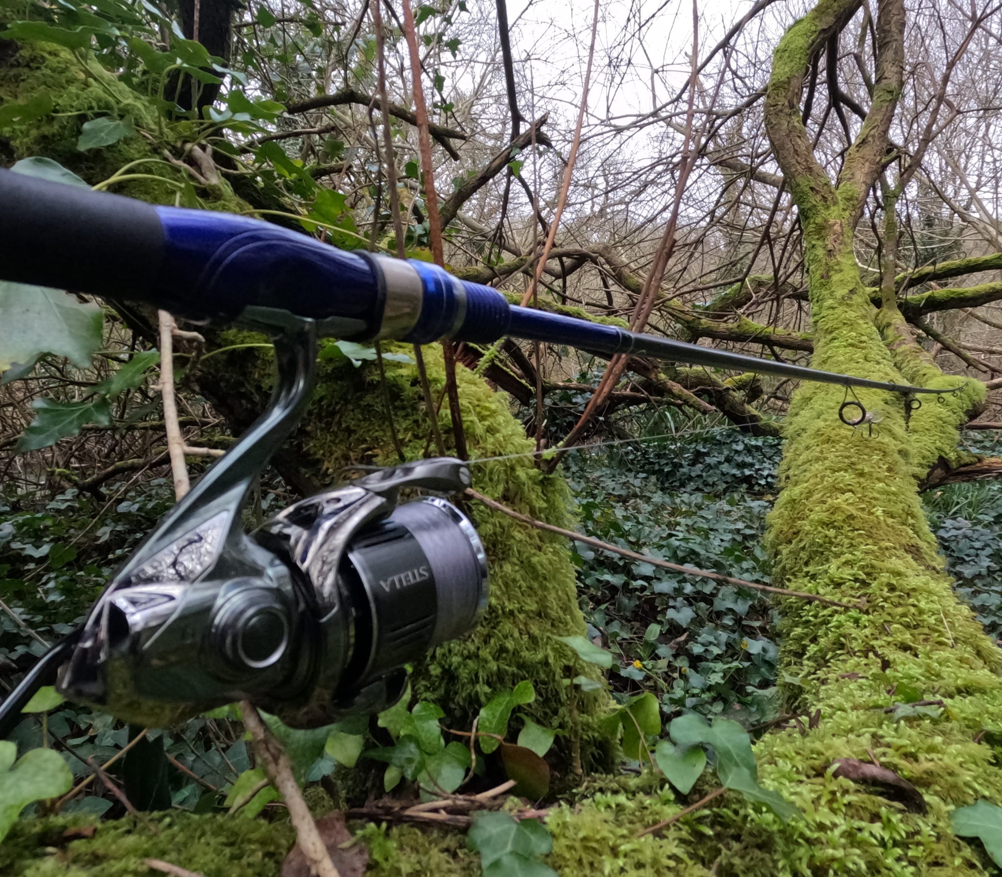 shimano atlantic series rods Sage R8 Spey Fly Rod 13'0" 9wt Looking for a durable rod to bring out this season Shimano Outlier Casting Rod -