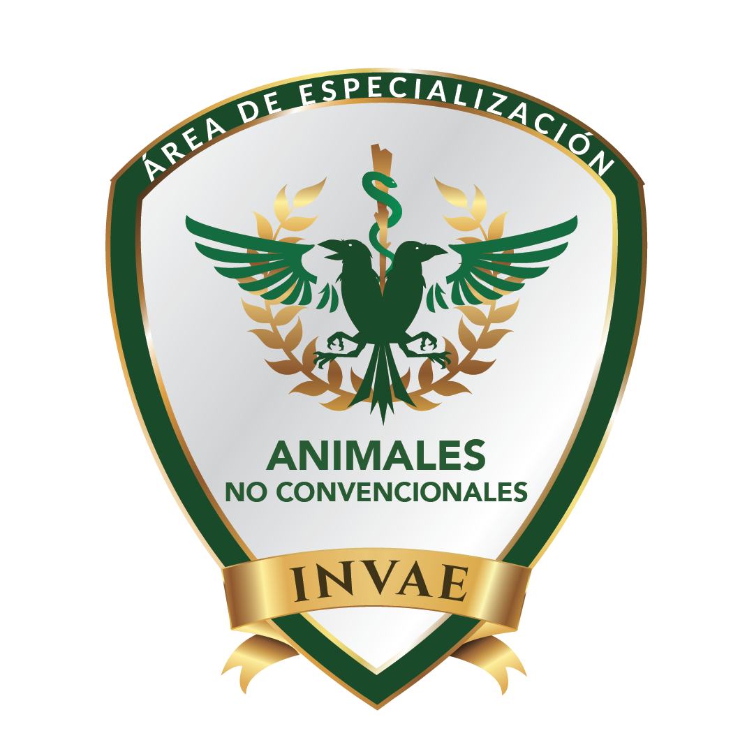 INVAE Animales no convencionales.
