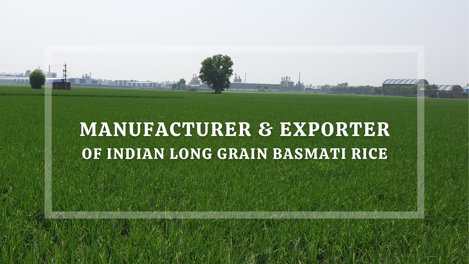 Hasan Rice Corporation added a... - Hasan Rice Corporation