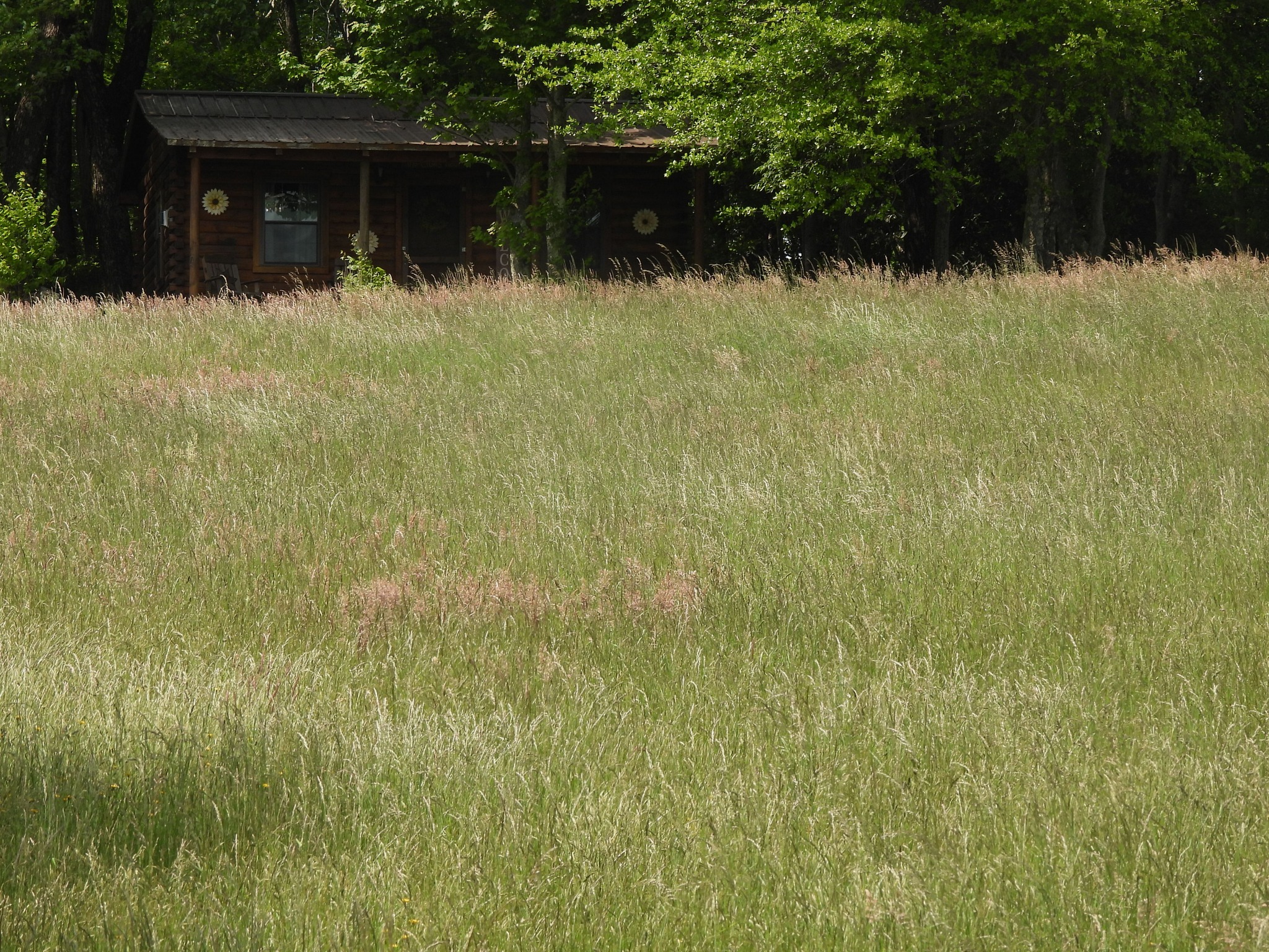 Poor Farmer's Cabin Rentals