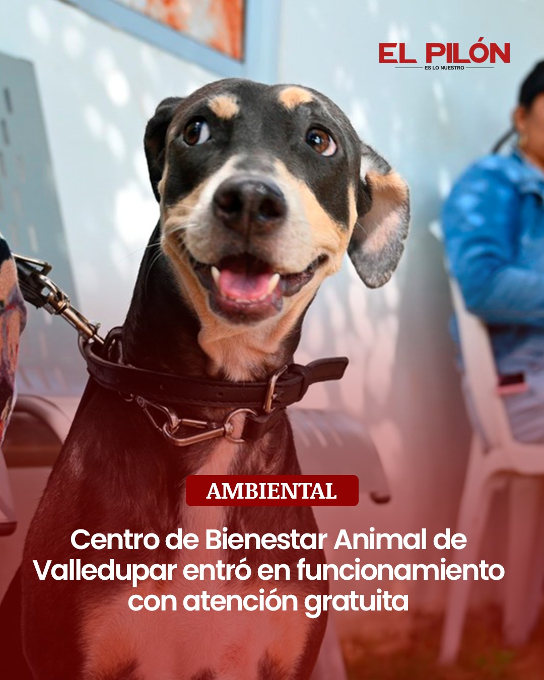 EL PILÓN - #Ambiental 🐶🐱¡Por fin! Entró en funcionamiento... | Facebook