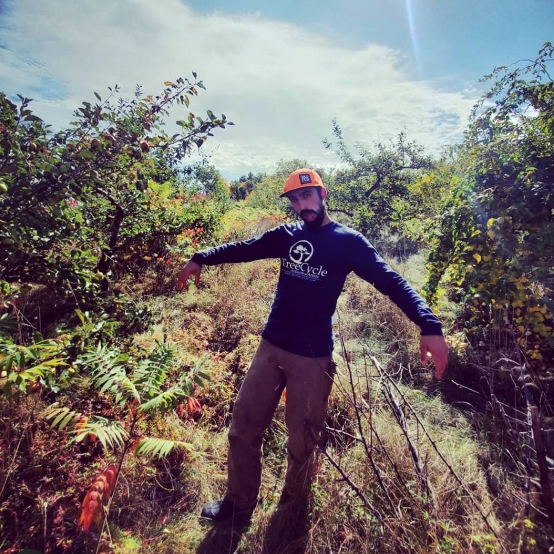 North American Fruit Explorers - NAFEX | Recent find. Very handsome ...