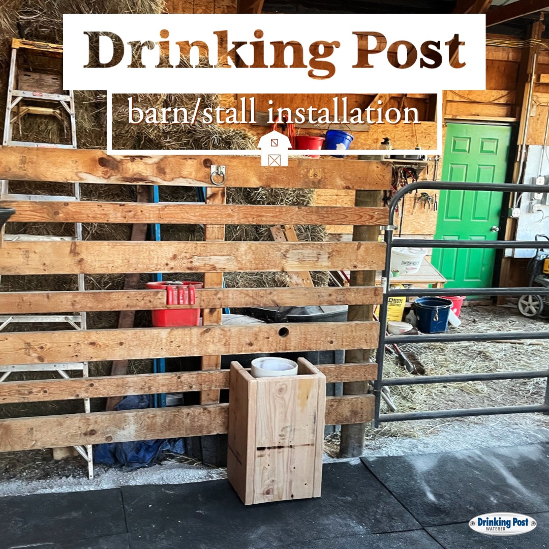 Drinking - Check out this awesome stall installation! 🔥 The customer ...