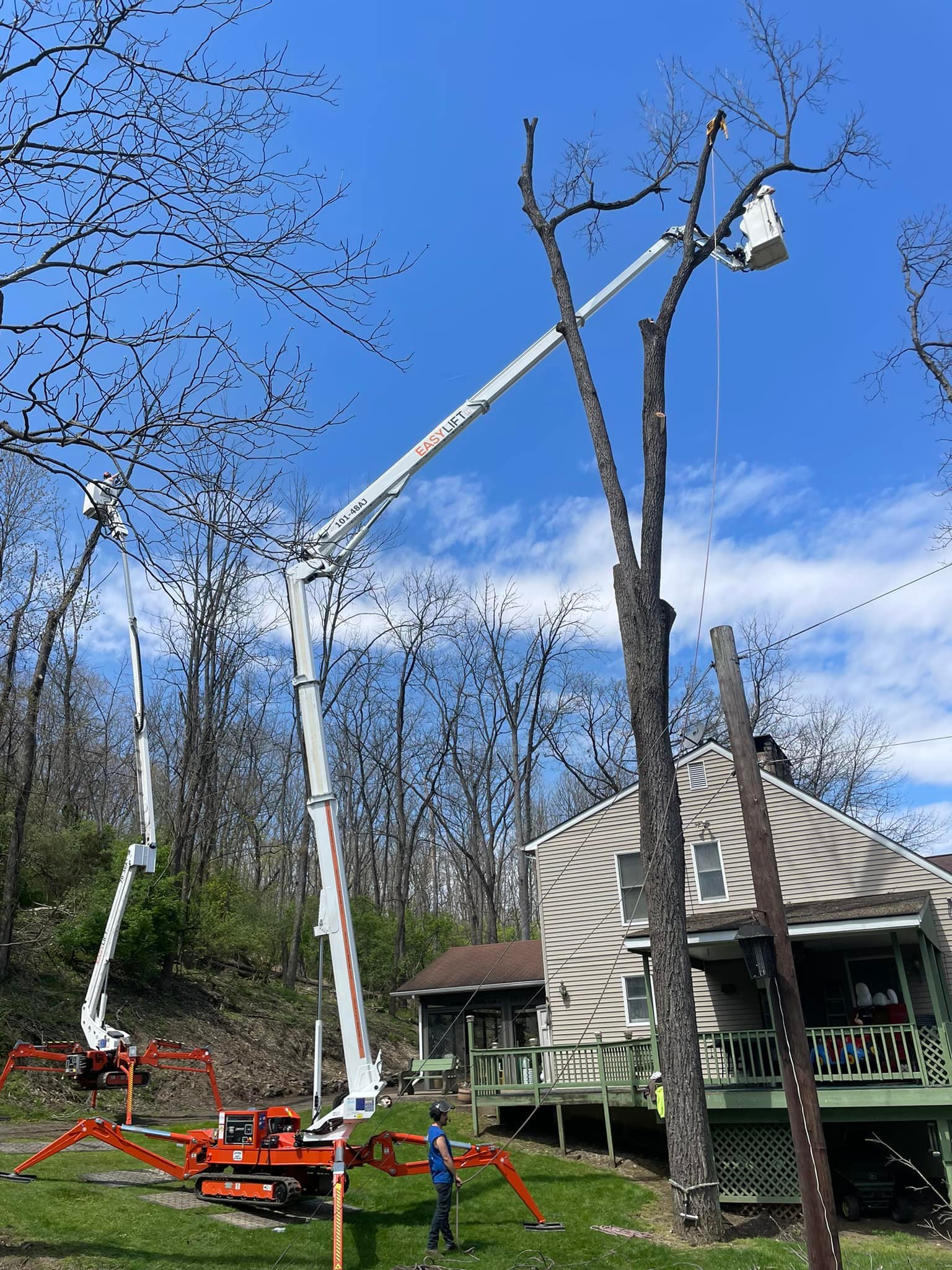 Boo's Tree & Lawn Service