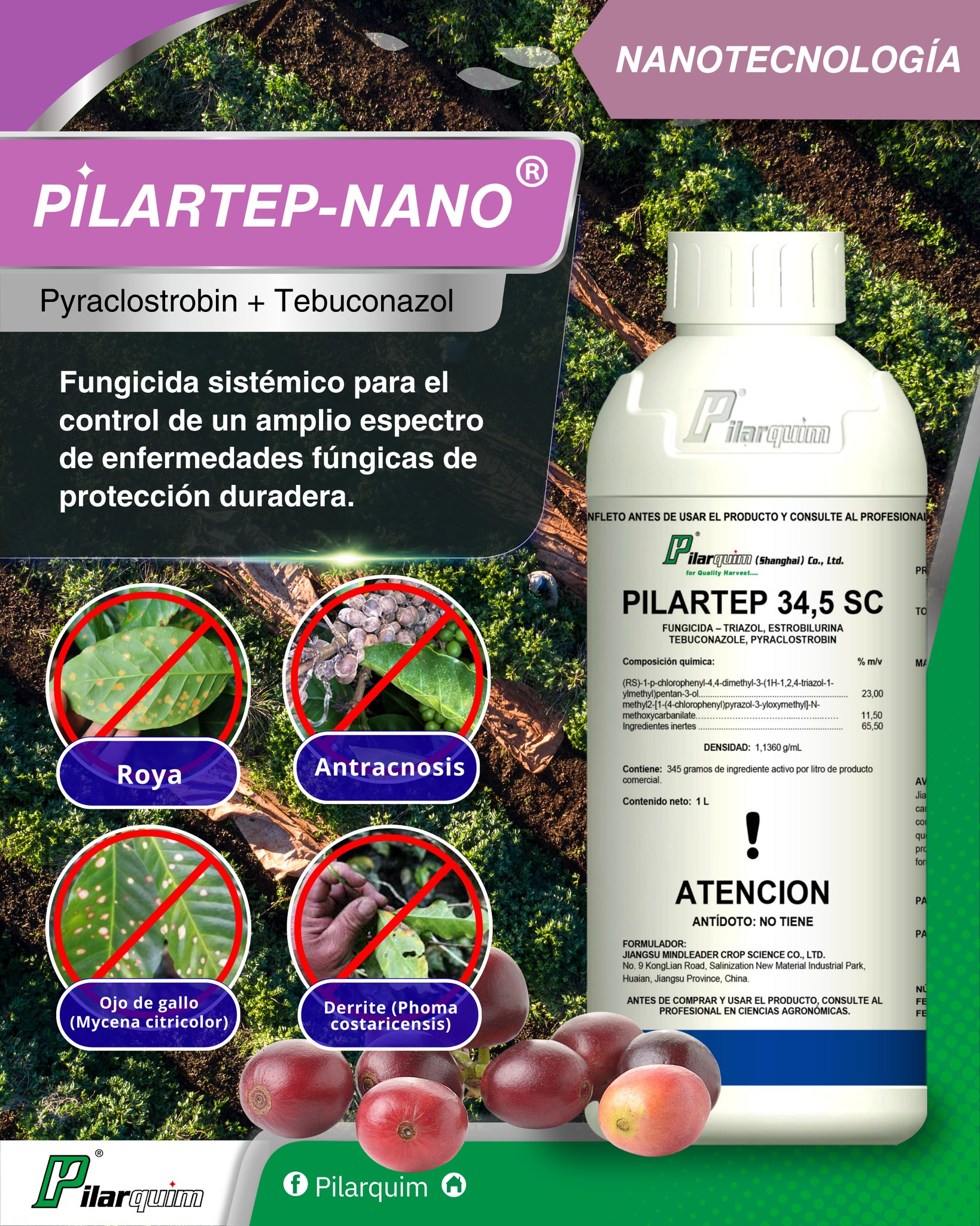 Pilarquim - Fungicida Pilartep nano: control de amplio espectro y ...