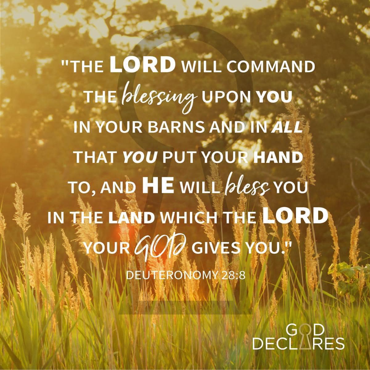 God Declares - The Lord will command the blessing upon you! | Facebook