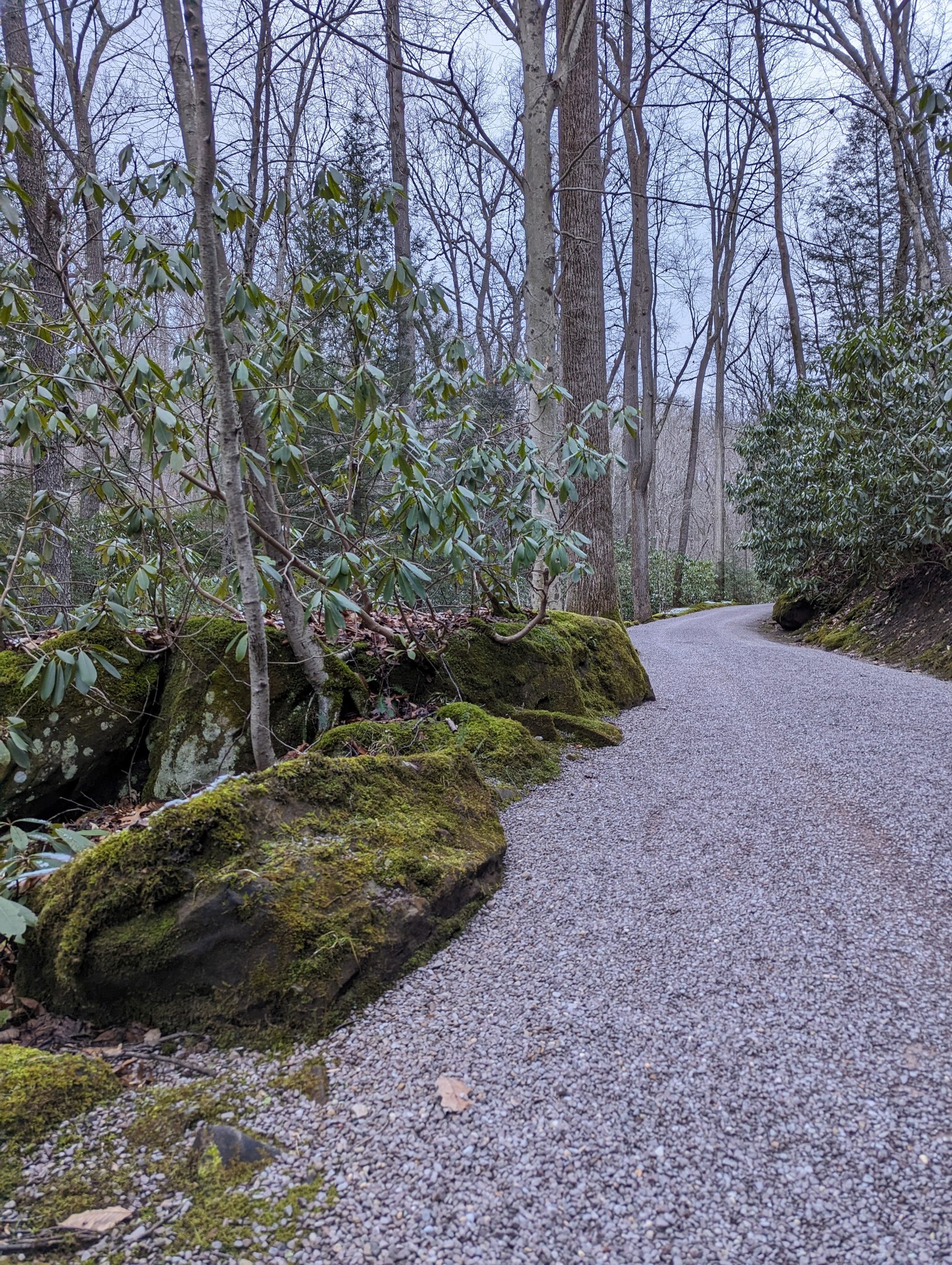 When you think of... - Western Pennsylvania Conservancy