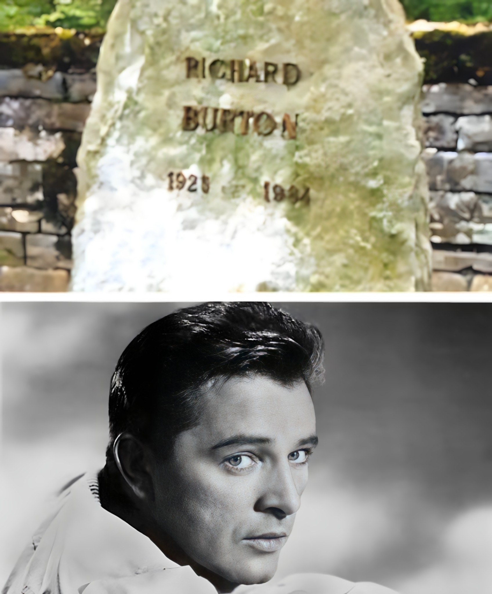 Avni - Richard Burton, born in Wales in 1925, was one of the most ...