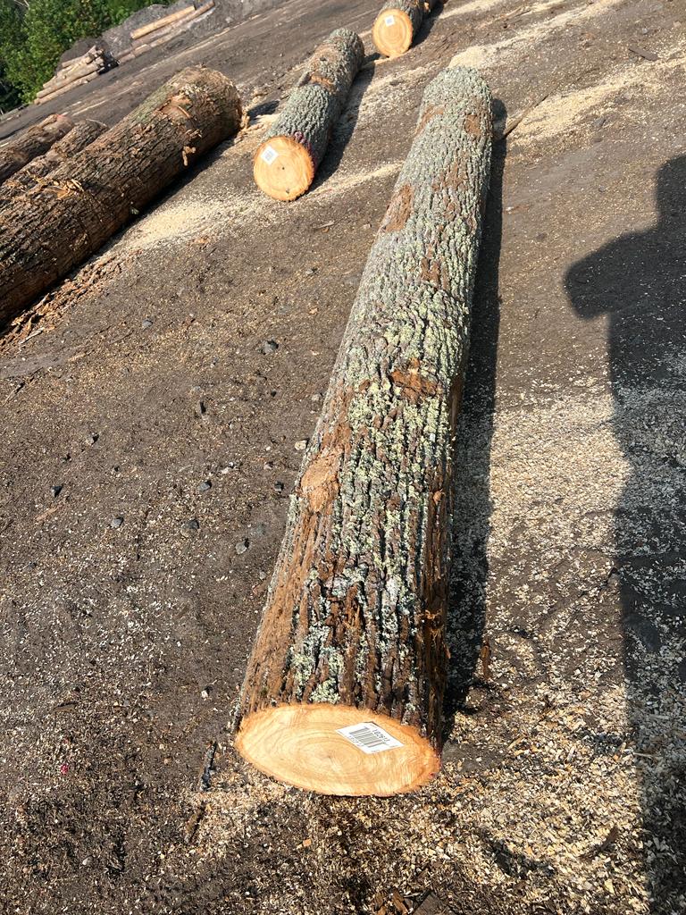 Ezzi Forest Exports LLC - Log / Timber / Lumber Exports | Houston TX