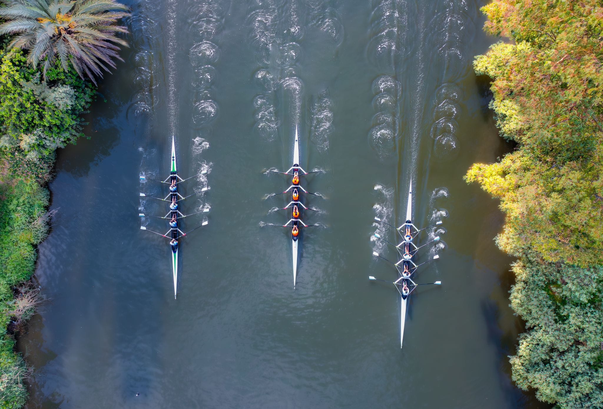 ‎מרכז דניאל... - מרכז דניאל לחתירה - Daniel Rowing Centre