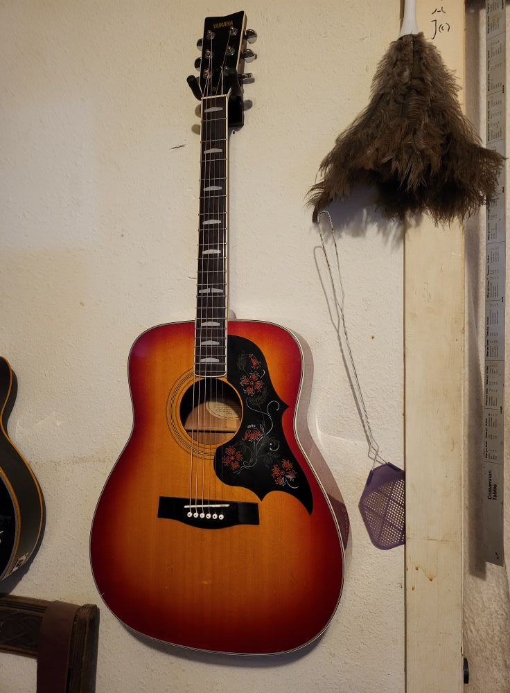 What are the details of the Yamaha FG-351 guitar model?