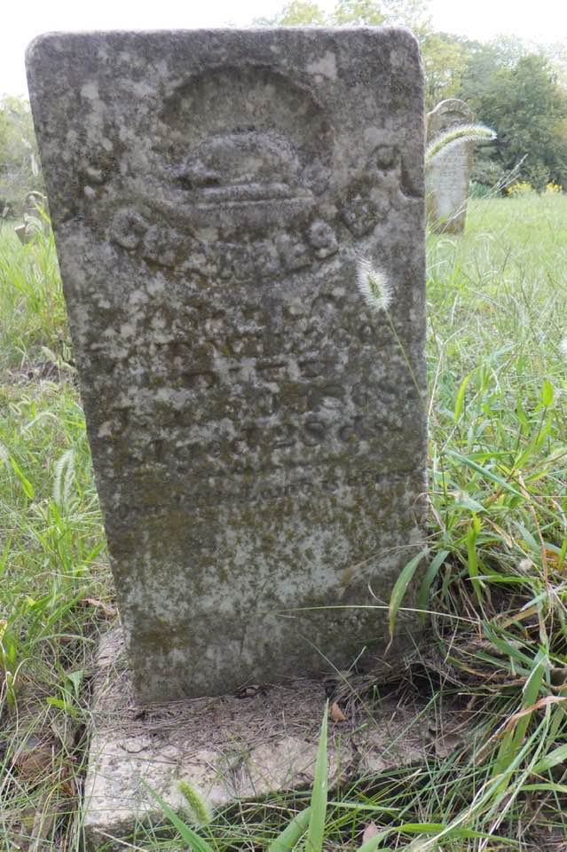 Oldest tombstone in the Wilcox Cemetery belongs to Charles Wilcox