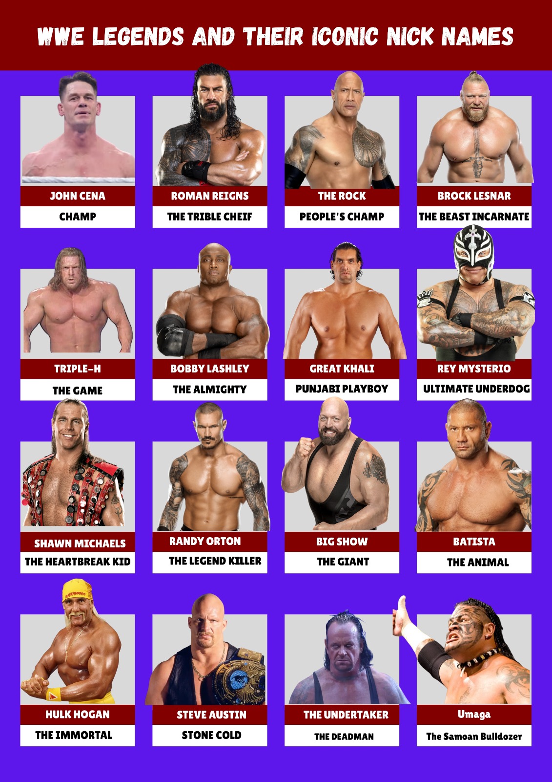 スポーツ選手 wwe legend WWE Legends 31 Pre-Order Live on Target