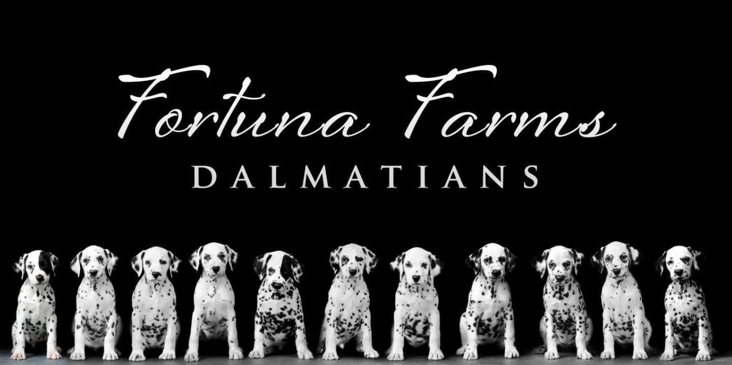 Fortuna Farms | Micanopy FL